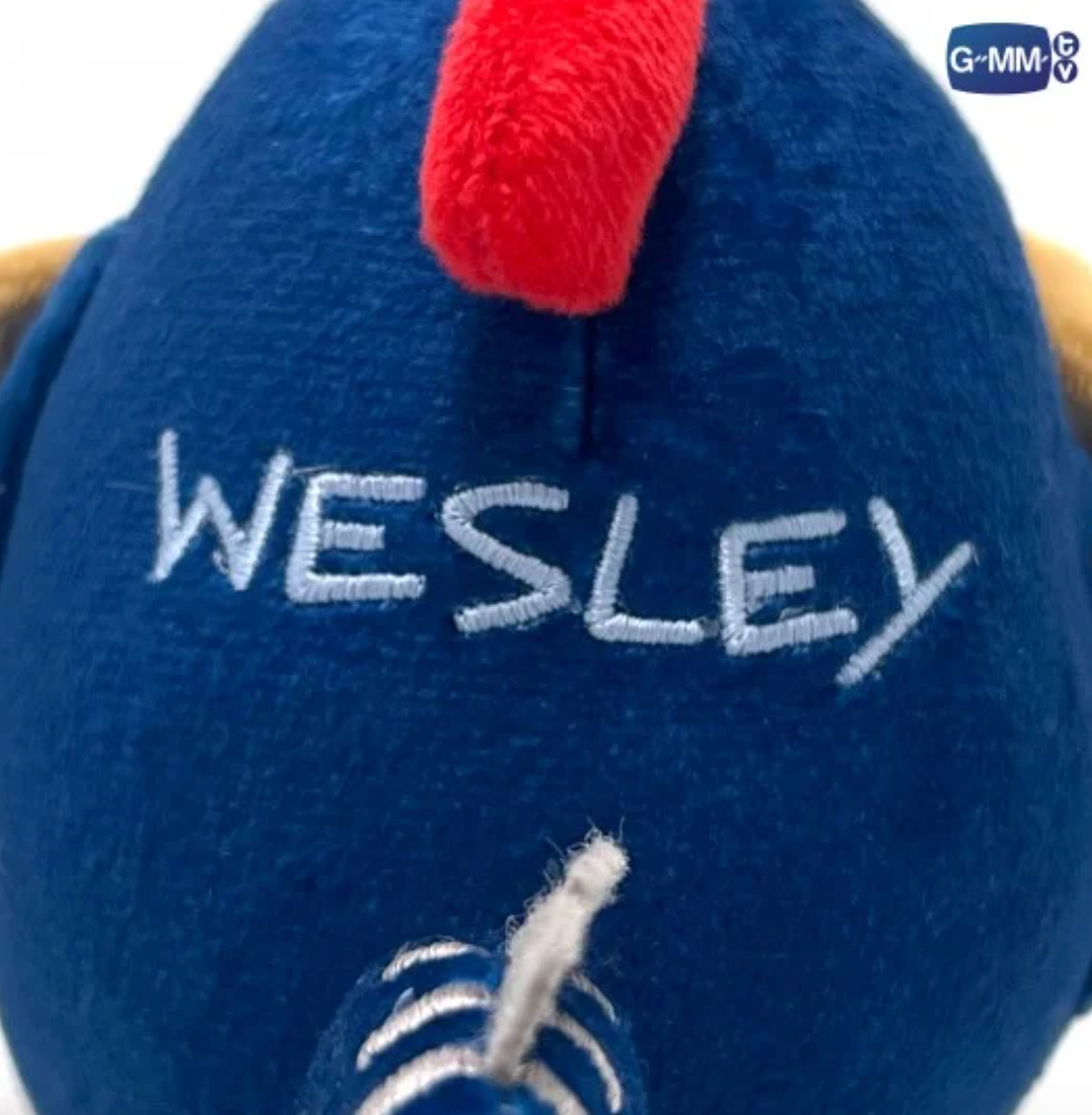 Pre-order - MOVIE NIGHT WITH WESLEY DOLL KEYCHAIN