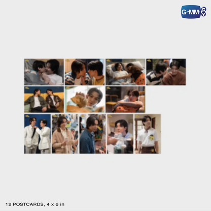 12 postcards - CAT FOR CASH MEMORIAL BOXSET