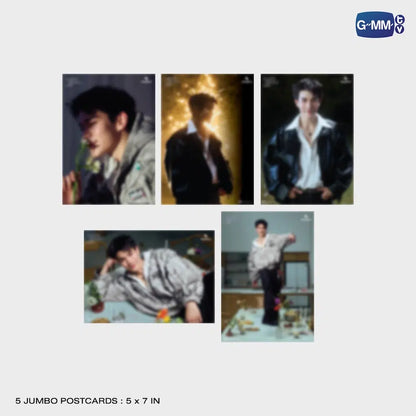 5 jumbo postcards - FOURTH EVERY SINGLE DAY PHOTO SET 